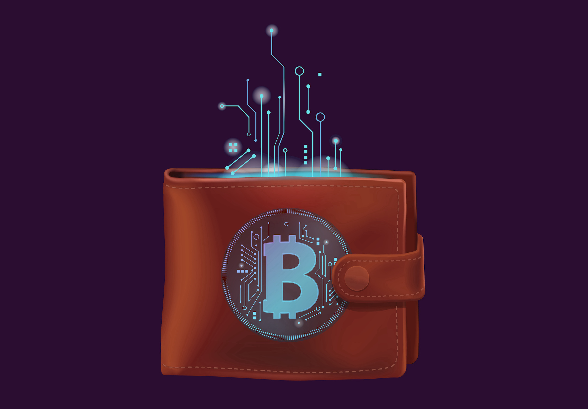 Read more about the article Crypto Cold Wallets: History, Functions, and Recommendations